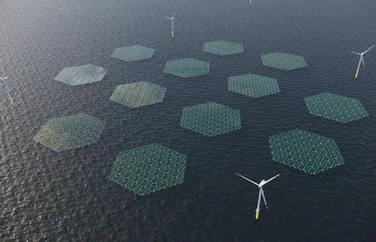 Floating Solars On Ocean Surface