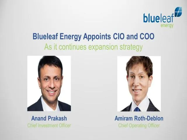 Blueleaf Energy
