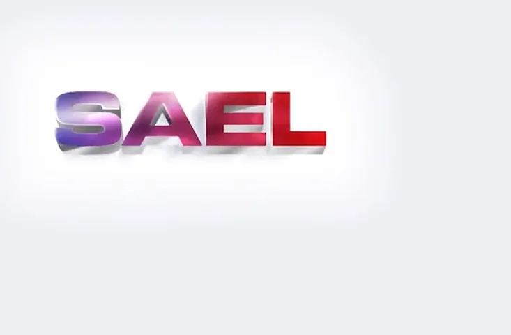 SAEL Funding