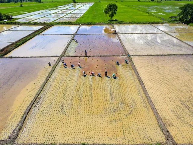 20 HP Solar Lift Irrigation Systems