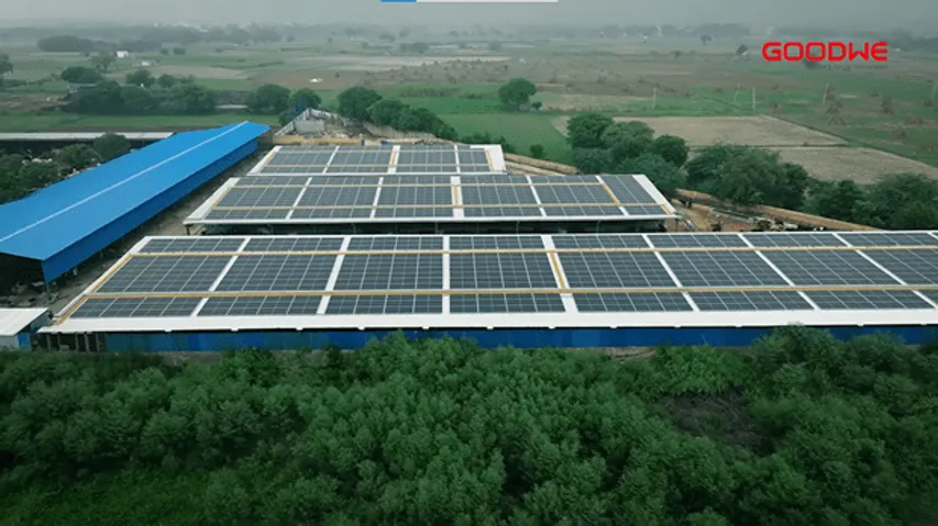 GoodWe Partners With Sunprime For Solar-Powered Smart Cowshed