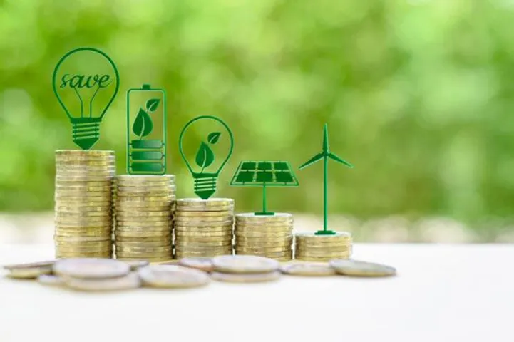 Climate Finance Still A Challenge For Developing Countries Amid RE Push