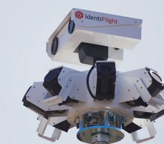 The Startup Using AI To Prevent Bird Fatalities Due to Wind Turbines