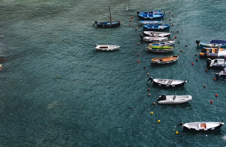 Odisha To Begin Solarisation of Fishing, Tourist Boats in Chilika