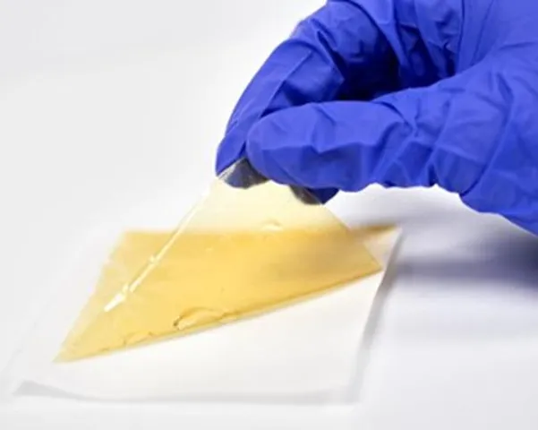 Incheon, Harvard Researchers Improve Fuel Cell Durability With Innovation