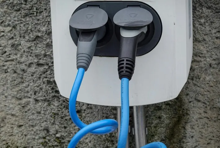 Courier Company Blue Dart To Expand EV Fleet