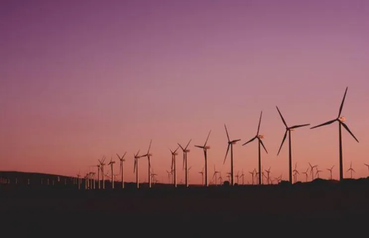 Adani To Commission 1GW Of New Wind Capacities In FY25