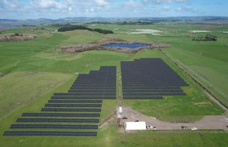 Trinasolar, Kiwi Solar & Trilect Partner For Agrivolt Project In NZ