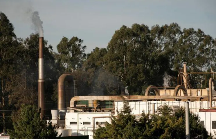 Indian Coal Plants Need Rs. 3,29,651 Cr Investment For Green Makeover: iForest