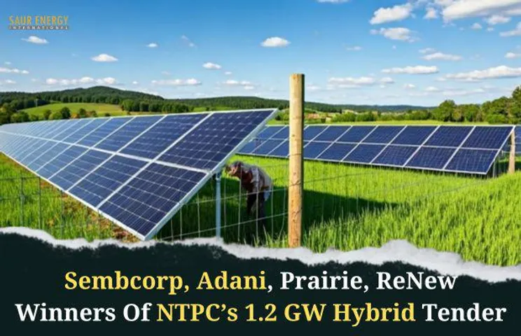 EverGreen, Datta Infra & Others Bag NTPC's 1.2GW Hybrid Tender
