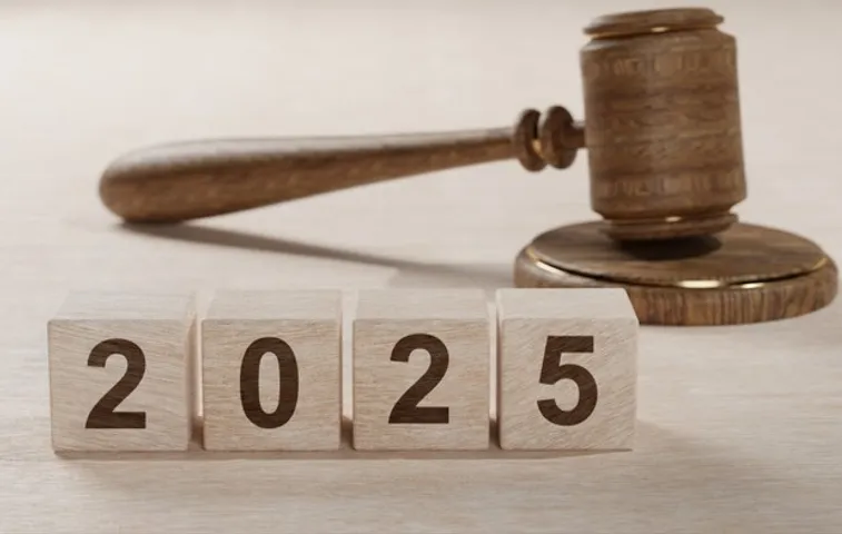 China's New Energy Law takes effect from Jan 1, 2025