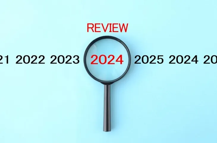 Looking back at 2024 for solar and energy storage tenders in India