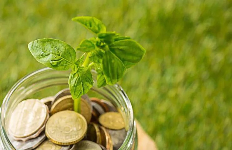Rajasthan Offers Fresh Incentives For Renewable Projects