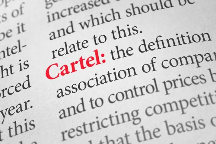Is a Chinese PV Price cartel Coming?
