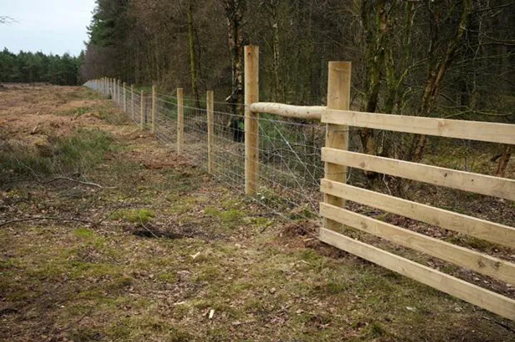 AP To Use Solar Fencing To Reduce Human-Jumbo Conflicts
