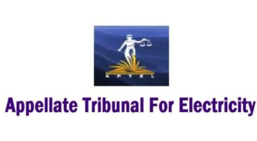APTEL Partly Allows Solar Firm’s Plea In Safeguard Duty Dispute