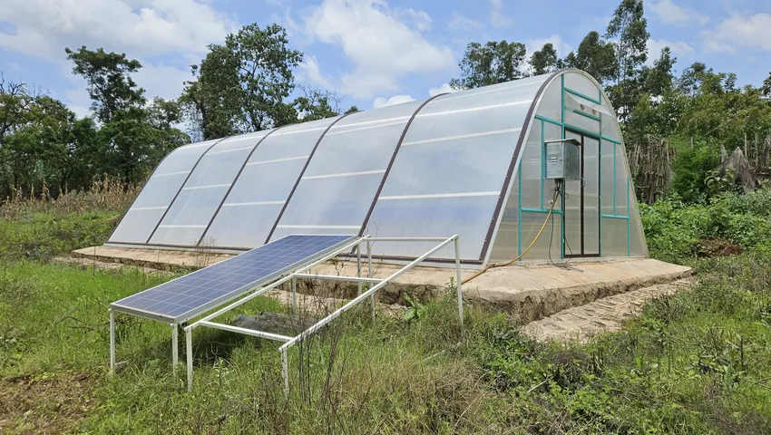 Coffee Farmers In Ethiopia Now Use Solar Dryers To Boost Output