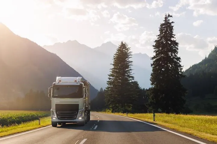 What Not to Do With India's Nascent Zero Emission Trucking Ecosystem