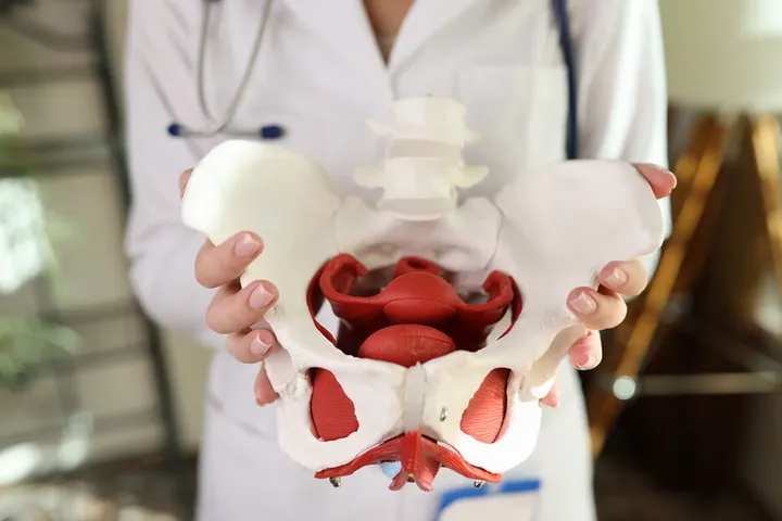 Pelvic_Health_and_Pelvic_Floor_