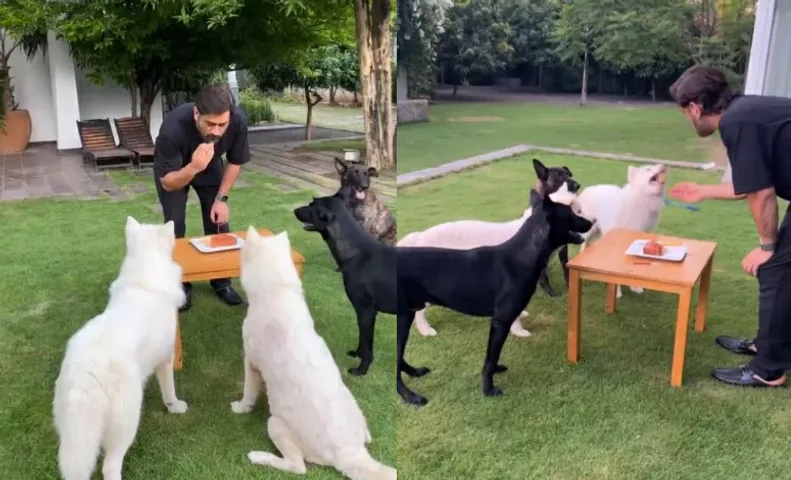 MS Dhoni and his dogs (Image Source: Twitter)