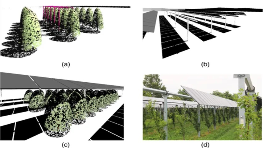 Fraunhofer ISE studied single-axis agrivoltaic systems tracking optimization to balance light distribution between crops and solar panels. 