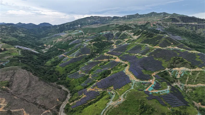 The Guizhou agrivoltaics project by Trina Solar used Vertex N modules and combined solar output with livestock-based land use. 