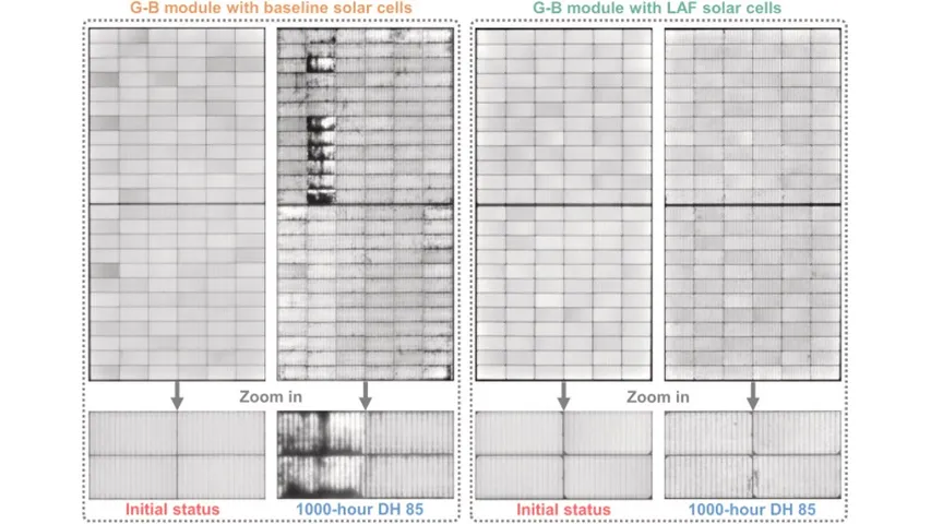 Modules using low-Al-content paste with laser-assisted firing showed better stability than standard Ag/Al paste. 