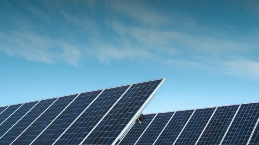 Agrivoltaic integration across sites was awarded “Dual-Use Plan of the Year” at the North American Agrivoltaics Awards. 