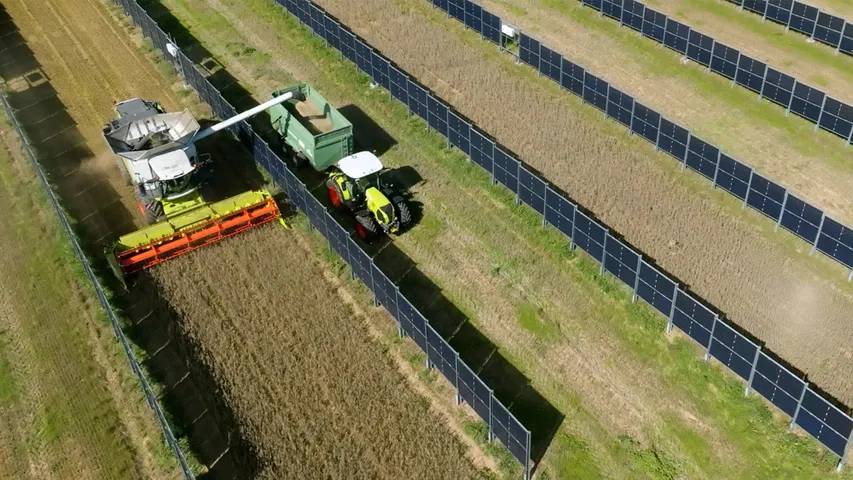 Vertical installation of Kunlun modules has allowed efficient land use by enabling crop growth and machinery access between rows. 