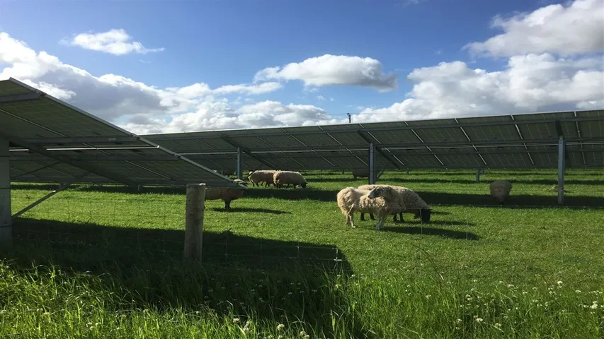 Skye Green Solar Farm received planning approval to be developed on 56 acres between Feering and Coggeshall in Essex. 