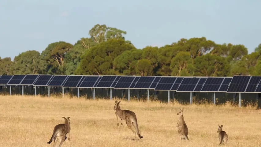 Mokoan Solar Park in Victoria is operational with 58 MW capacity and offsets over 60,000 tonnes of CO₂ annually. 