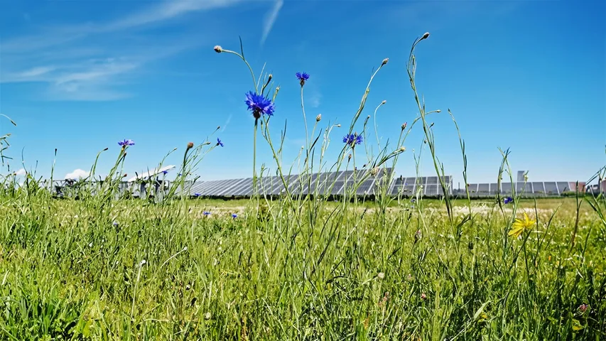 2025-06-24-Emeren-pr