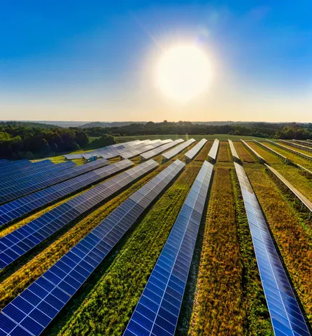 Global RE tenders to exceed 100 GW in 2024