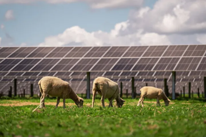 New Zealand’s largest solar farm operational