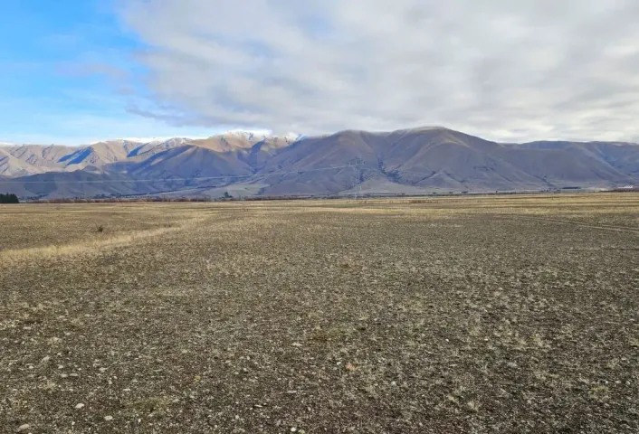 Lodestone to build 220 MW solar farm in NZ