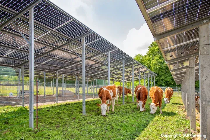 SUNfarming & SPIE collaborate on Europe’s ‘largest’ agriPV project