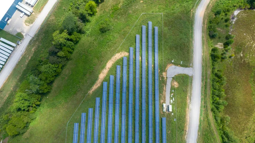 JSW Neo Energy wins 400 MW solar development contract from NTPC