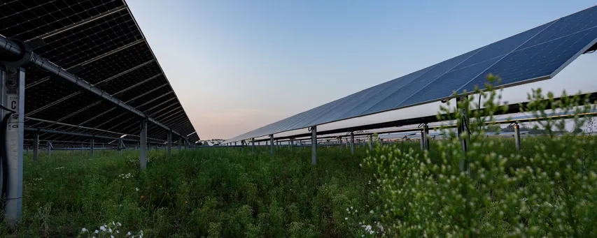 Exus Renewables acquires 130 MW Cibele Solar Farm from Lightsource bp
