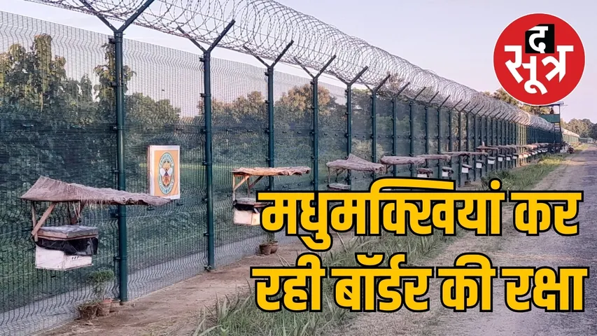 मधुमक्खियां कर रही बॉर्डर की रक्षा