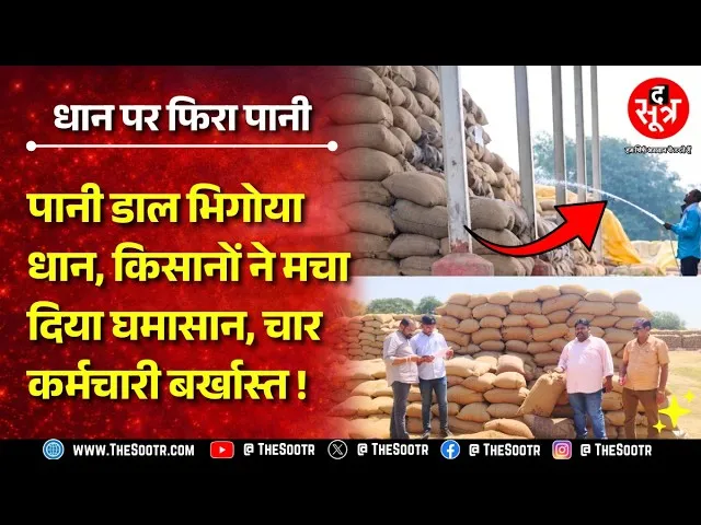 10000 से ज्यादा धान की बोरियां भिगोकर घोटाले की कोशिश, चार कर्मचारी बर्खास्त, होगी FIR