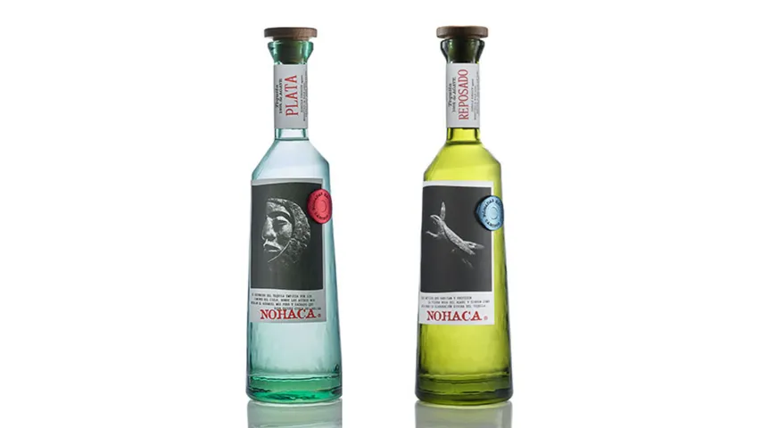 Nohaca Tequila debut in  GTR