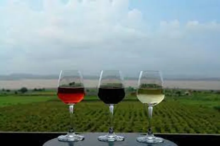 Another proposal for a winery in UP