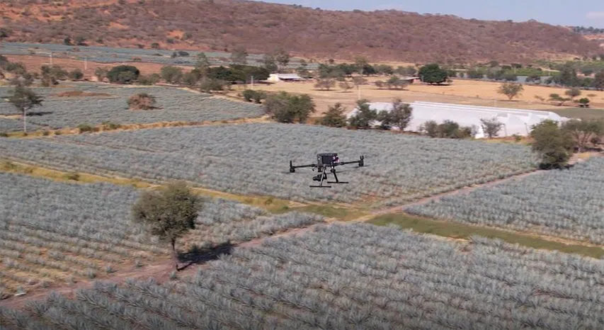 Diageo introduces drones across its tequila farming