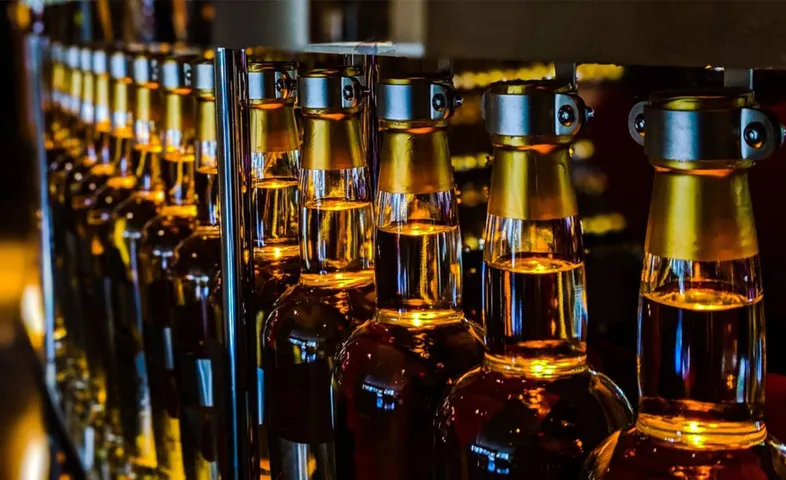 Gujarat issues more liquor permits in FY 2023