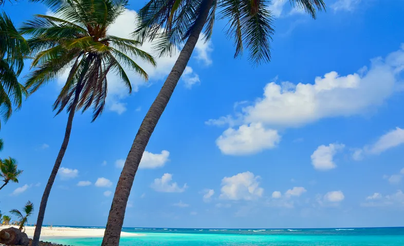 People to decide legalisation of liquor in Lakshadweep