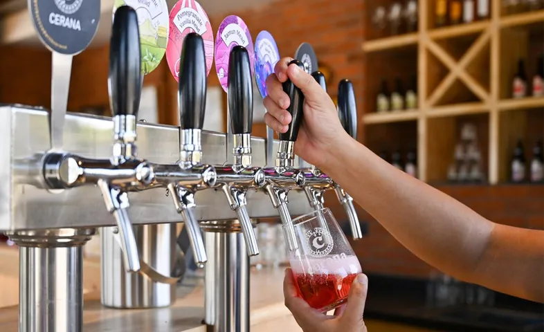Cerana Meads launches taproom in Nashik