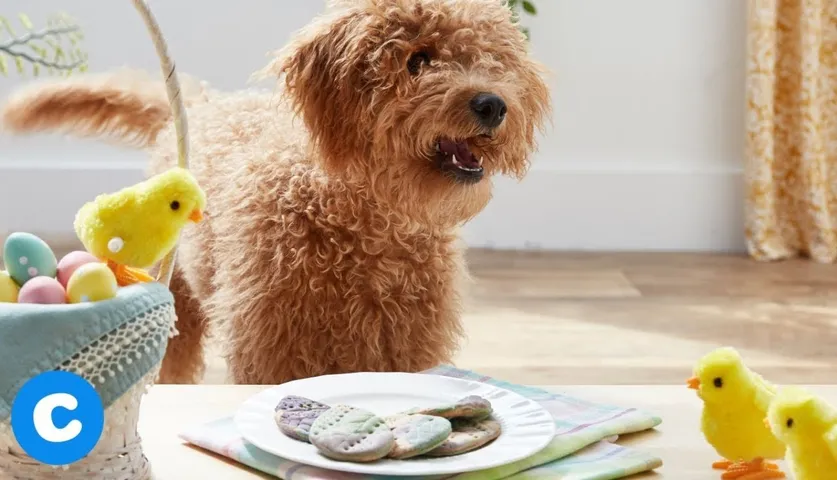 This secret YouTube Easter dog will make your day
