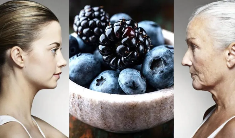 Top 5 Anti-aging Food For A Younger You!