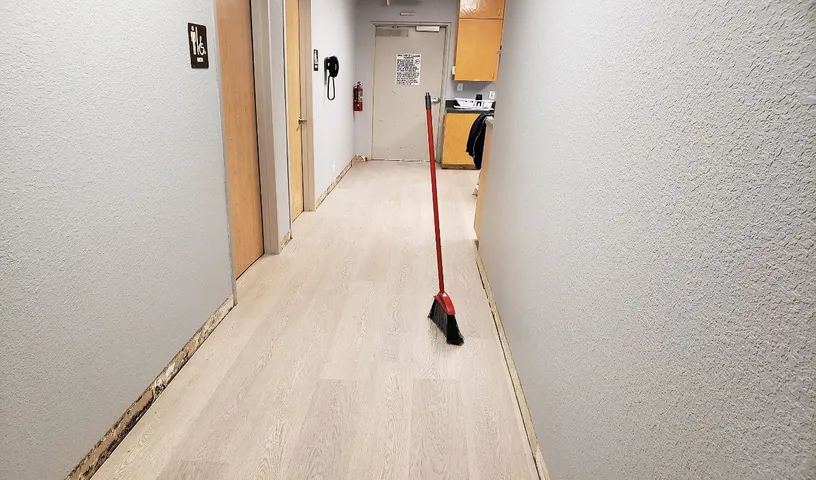 Internet Is Storming Over The Broom Challenge, What Is It?