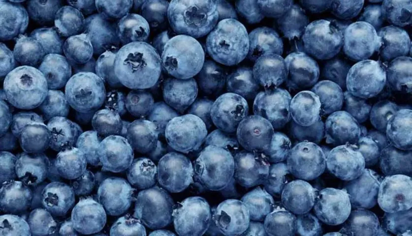 5 Amazing Blueberry Face Masks For Glowing Skin